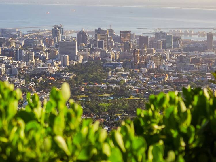 Cape Town voted among world’s best for green spaces
