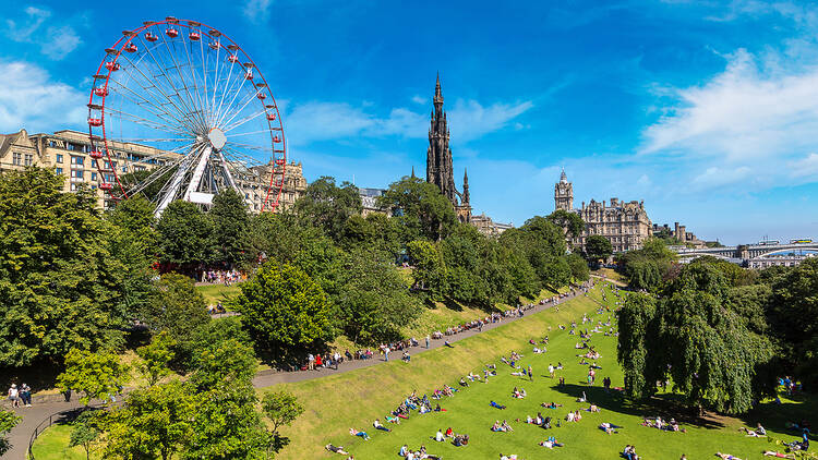Greenery in Edinburgh, Scotland