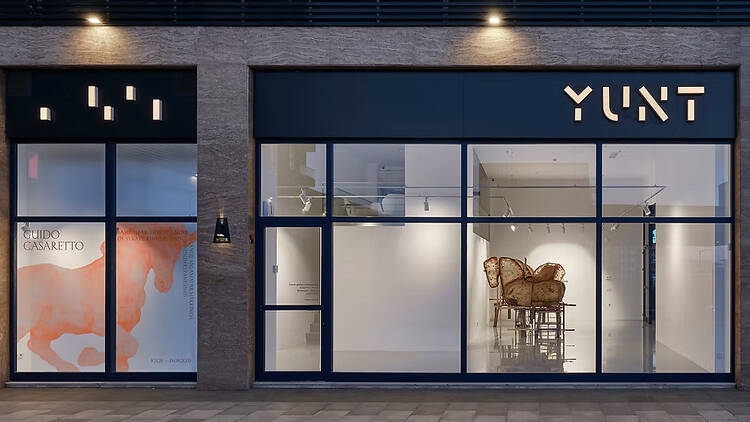 Yunt