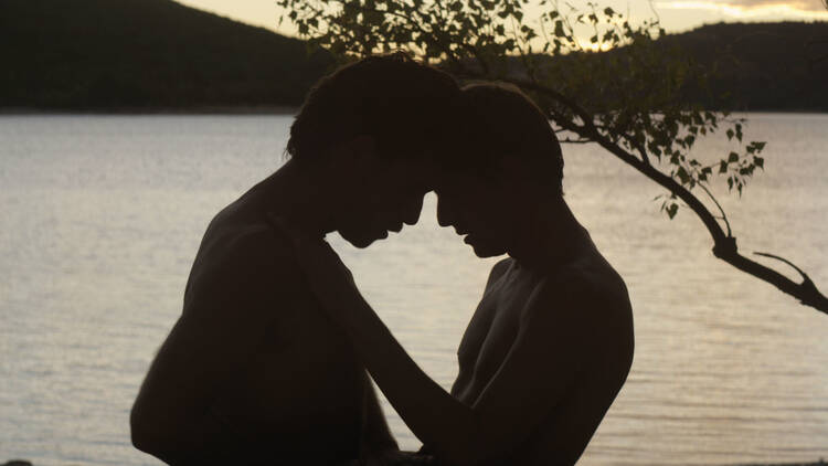 El extraño del lago (2013)