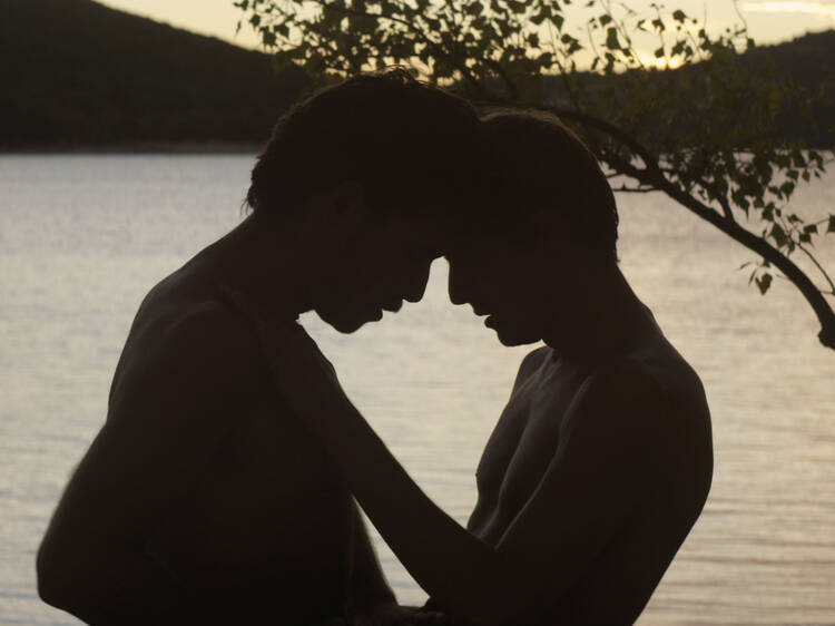 El extraño del lago (2013)