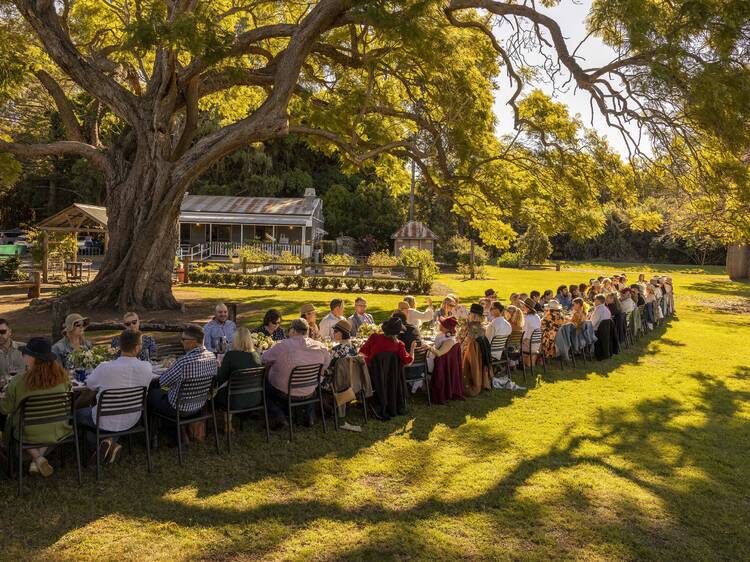 Scenic Rim Eat Local Month