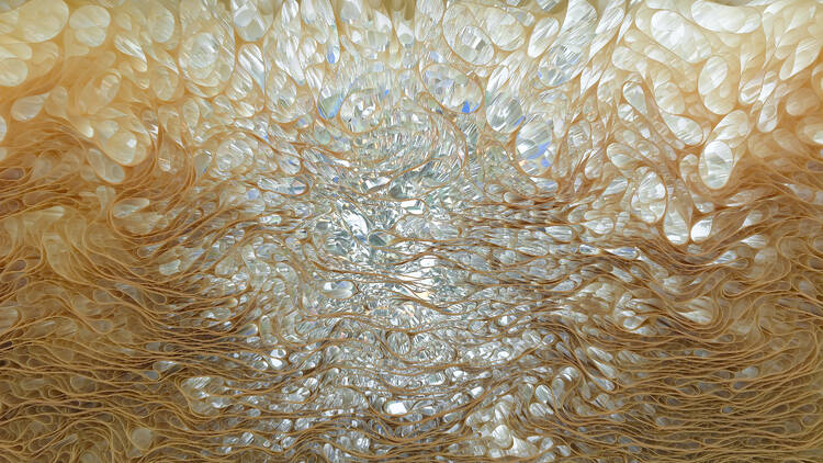 Tara Donovan, Pace Gallery