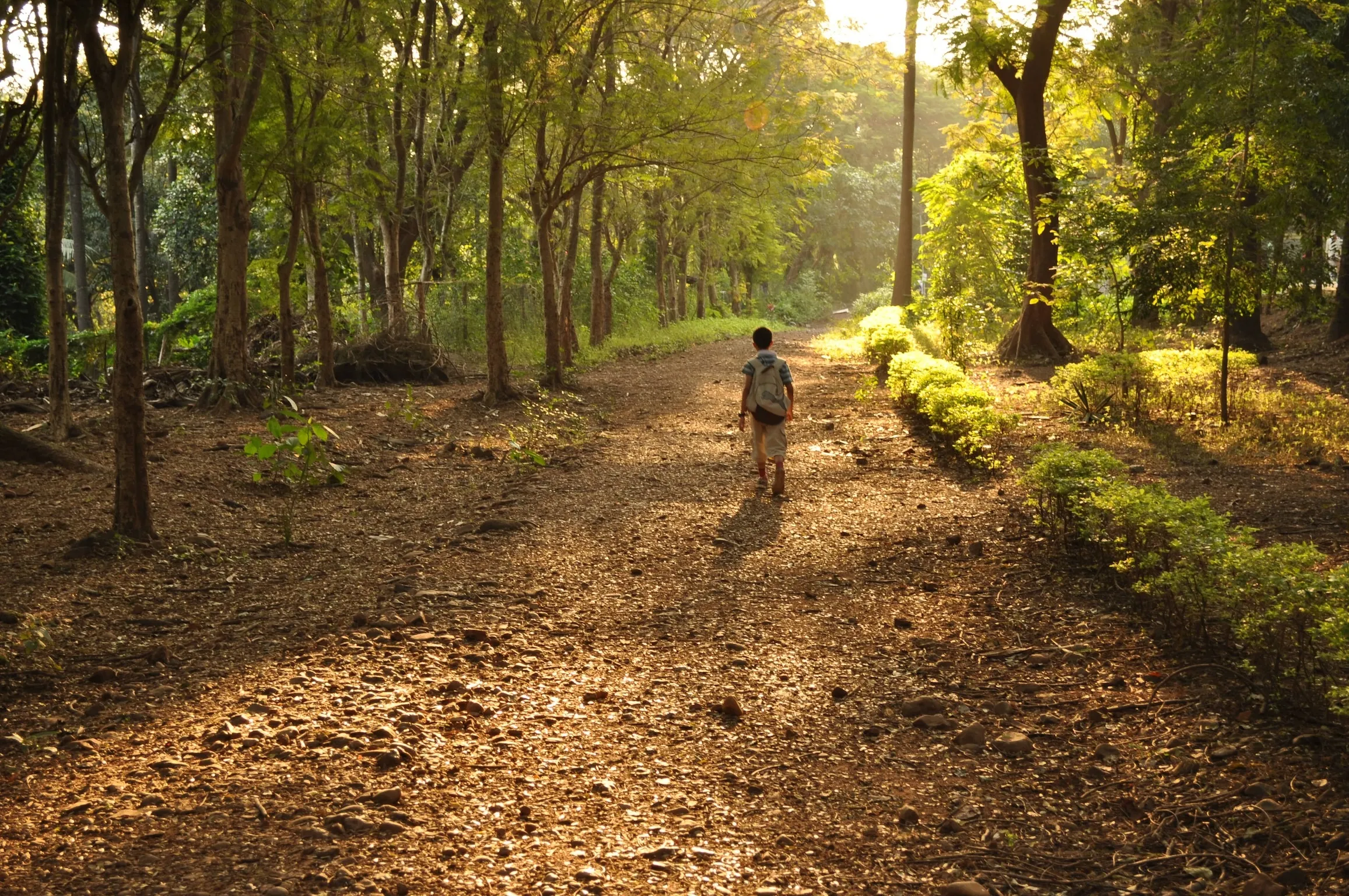Sunrise at Sanjay Gandhi National Park Mumbai