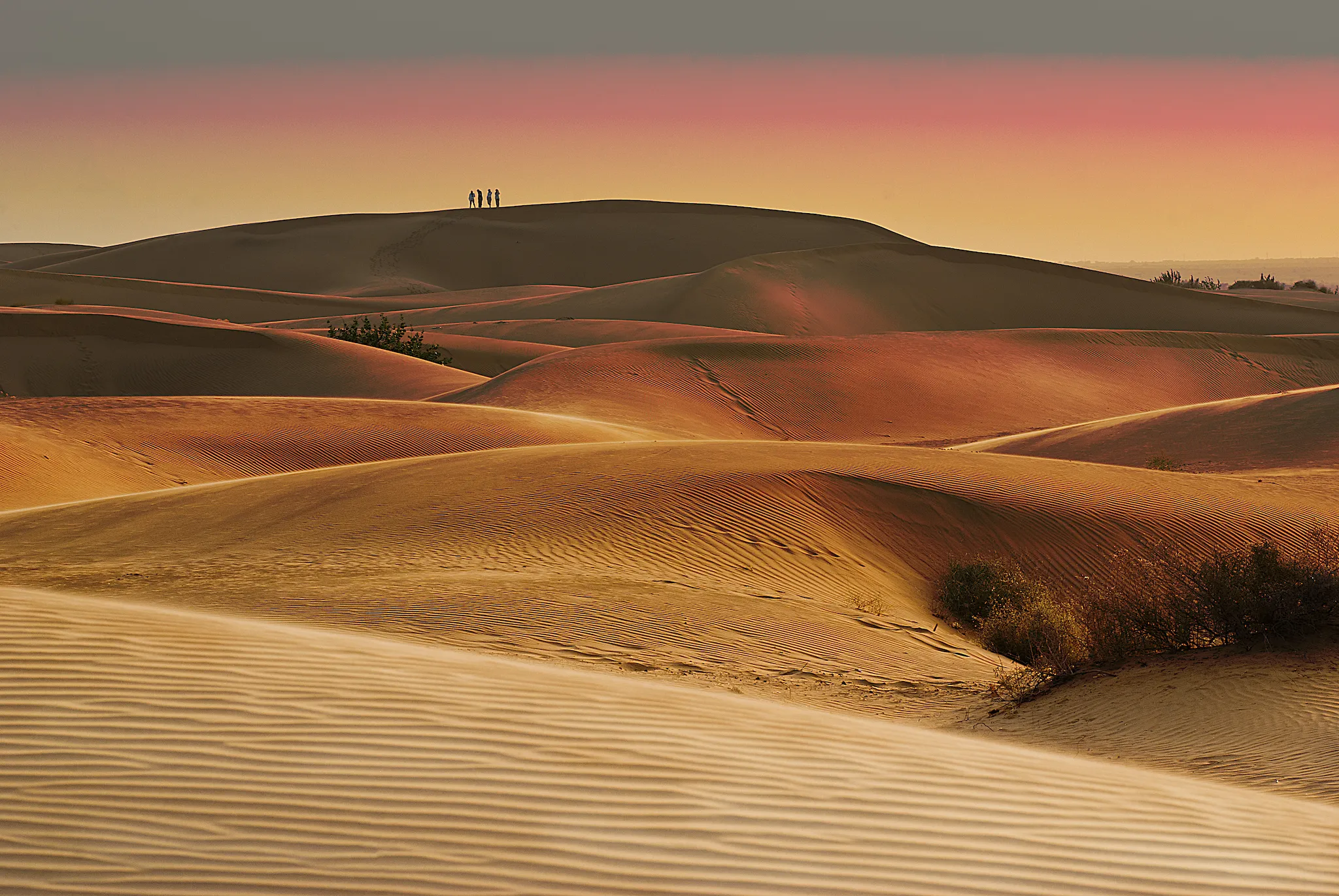 Sunset on Thar Desert in India