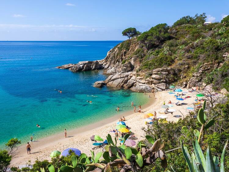 Cavoli beach in Tuscany, Elba island. the crystal clear waters of the Elba island seen from the drone