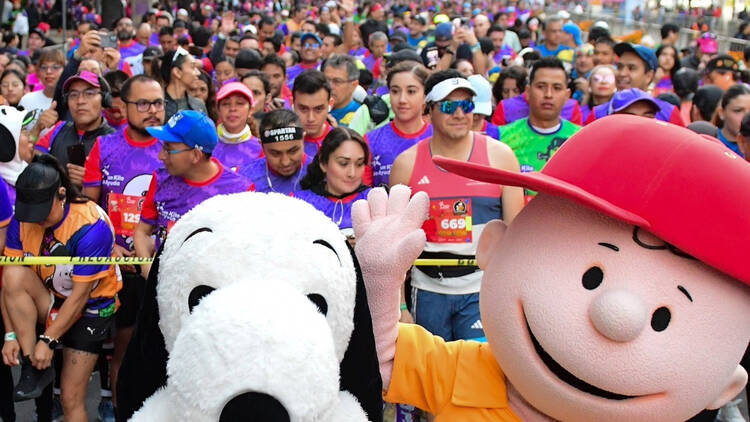 carrera snoopy 2025