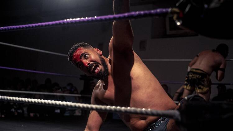 Wrestlefest