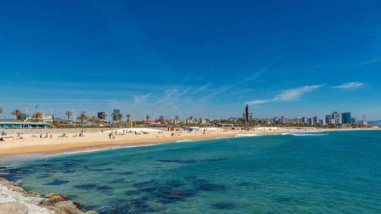Bogatell Beach