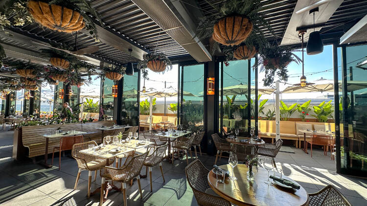 Terra at Eataly Silicon Valley
