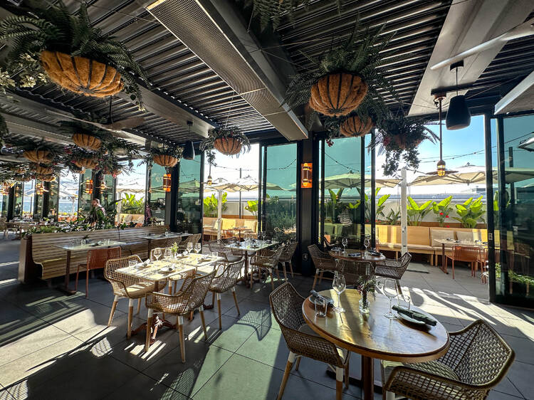 Terra at Eataly Silicon Valley