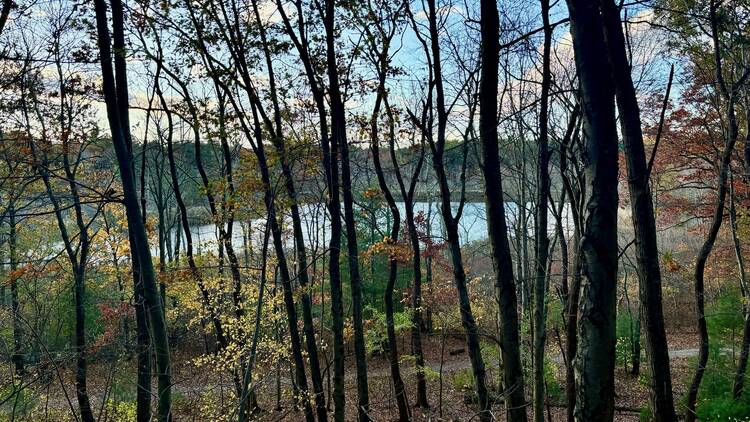 Stony Brook Reservation