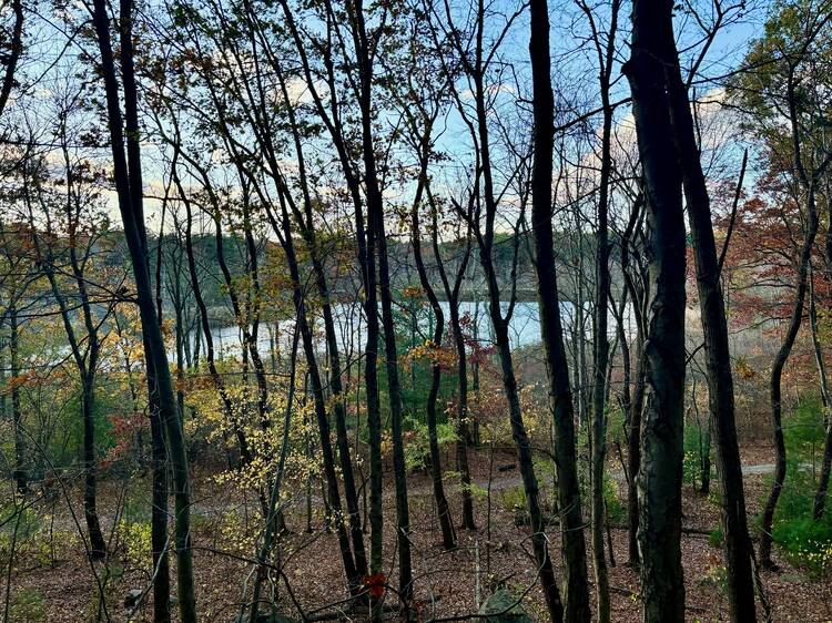 Stony Brook Reservation