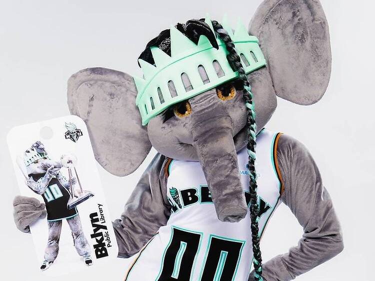 You can now rep the New York Liberty with a special-edition library card You can now rep the New York Liberty with a special-edition library card