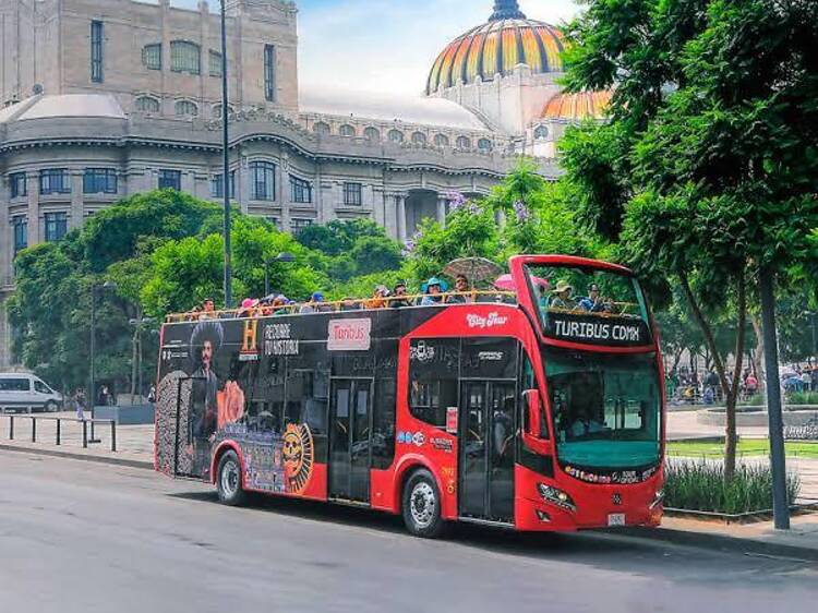¿Qué hacer con niños en junio? 8 actividades imperdibles