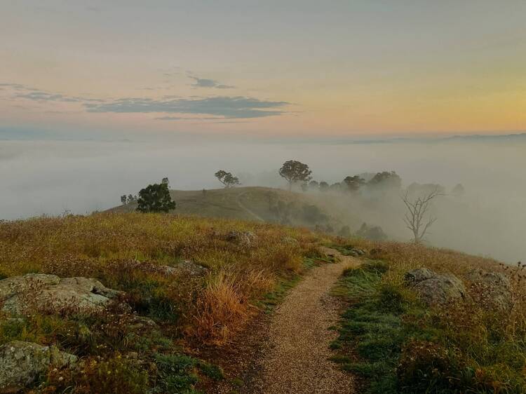 The 12 best hikes in Canberra