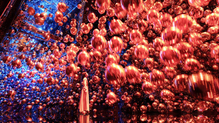 チームラボ バイオヴォルテックス 京都