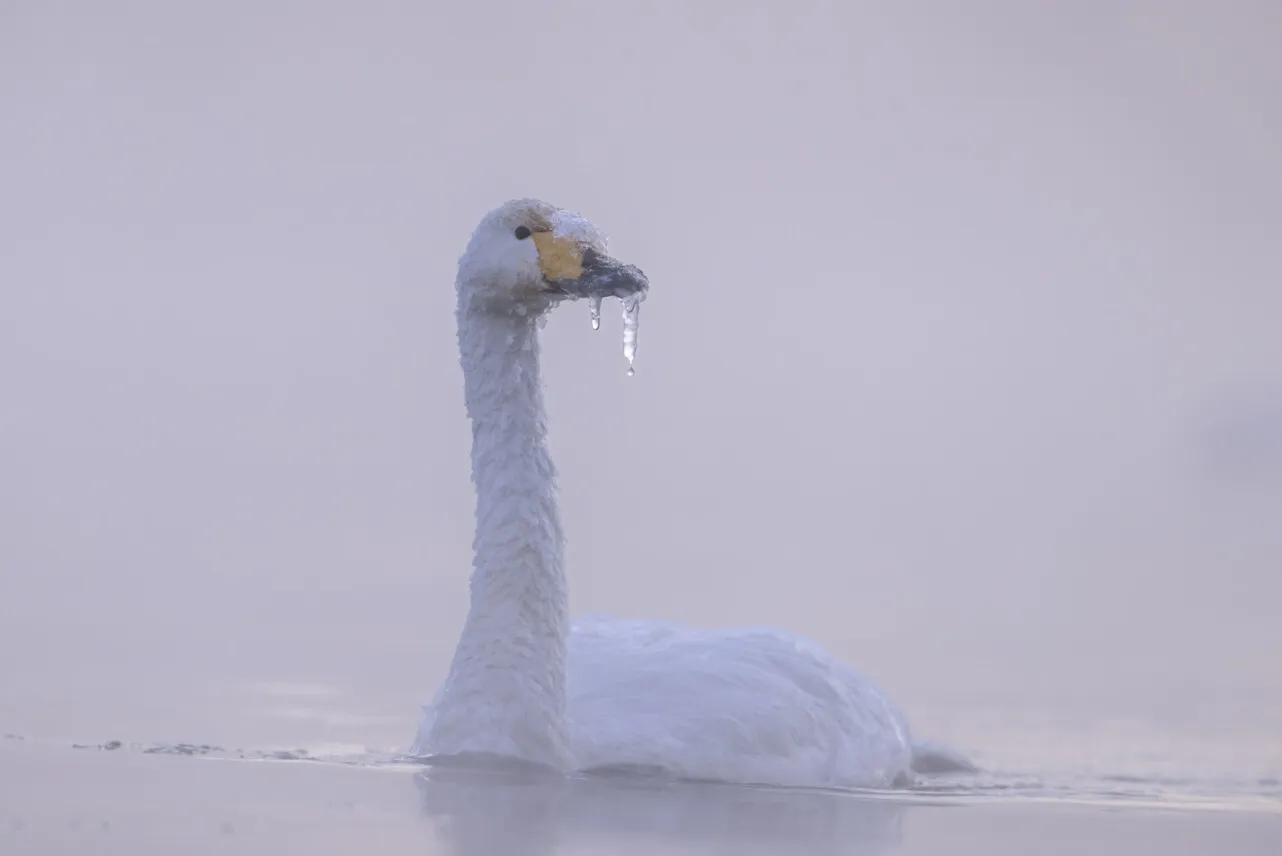 Fotografía de la exposición 'Hábitat'