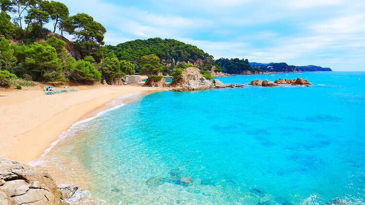 cala treumal