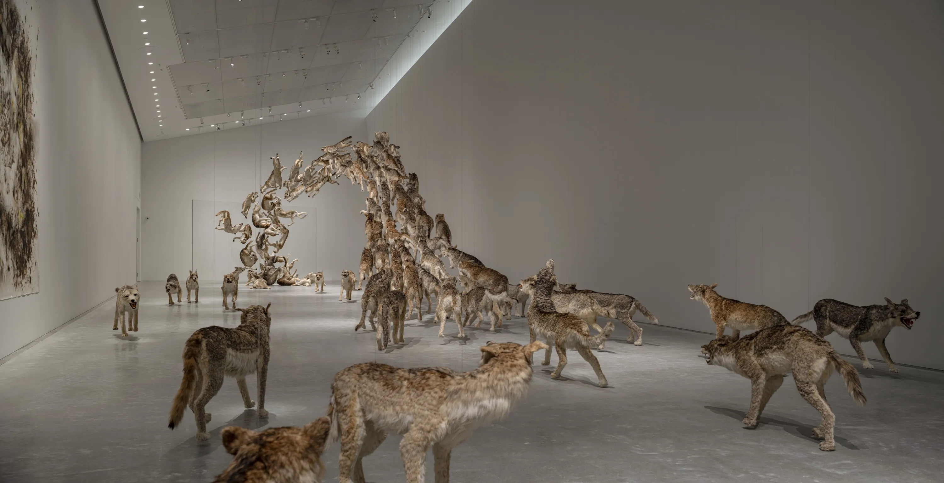 直島新美術館 Naoshima New Museum of Art