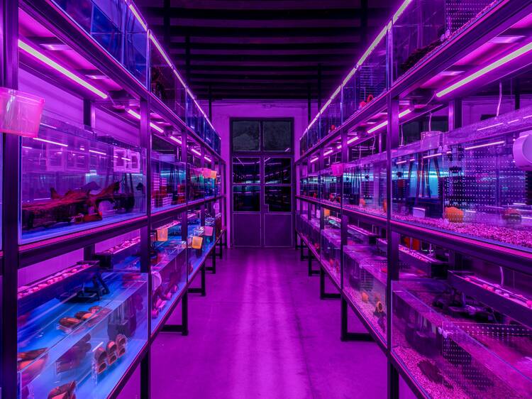 The top art exhibitions and displays to check out in Hong Kong