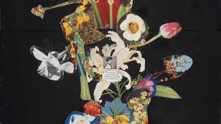 Isabel Coixet. Collages. Aprendizaje en la desobediencia (Museo Thyssen).