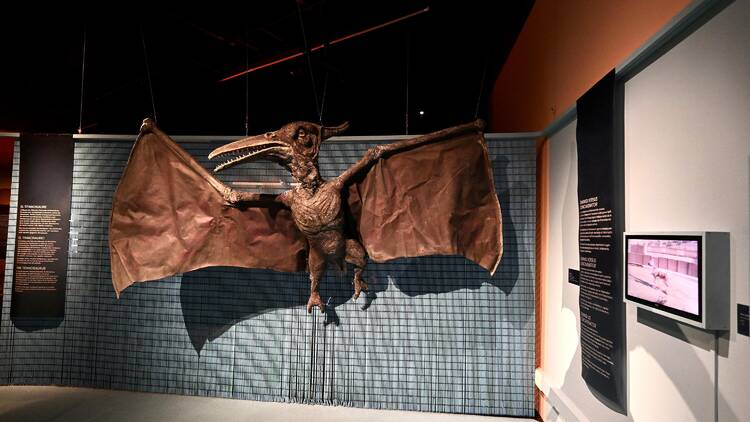 Museu de Ciències Naturals de Barcelona 