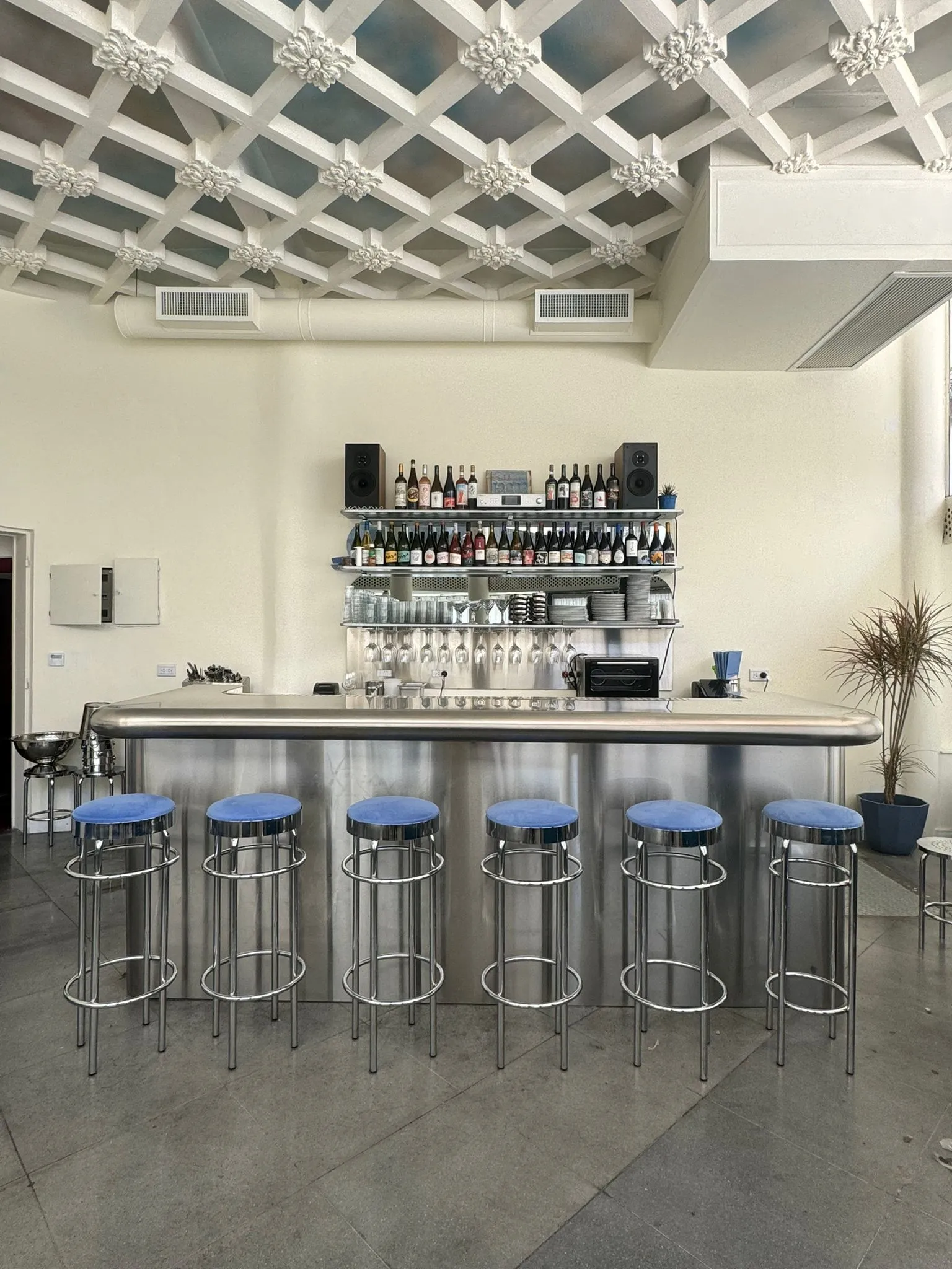 acuario-bar