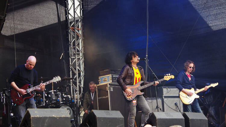 The Chameleons  