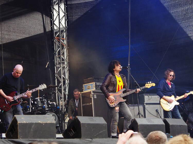 The Chameleons  