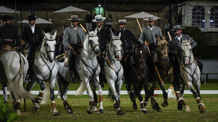Assista ao Festival Internacional do Cavalo Lusitano