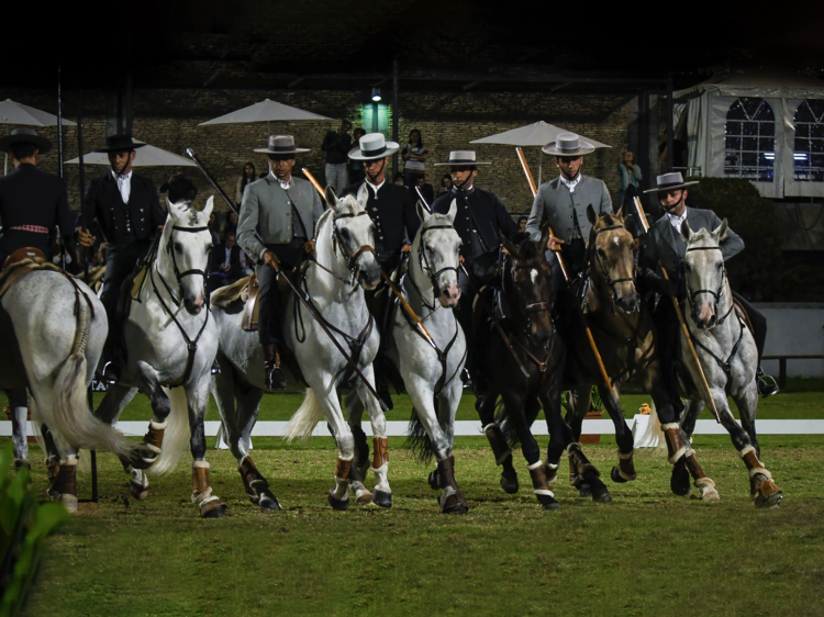 Assista ao Festival Internacional do Cavalo Lusitano