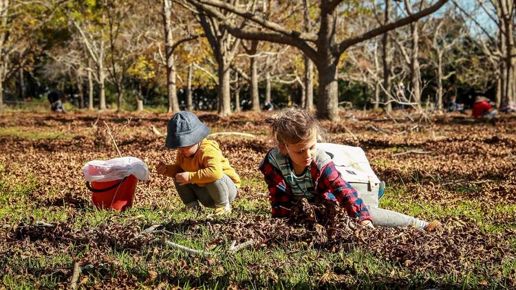Children harvesting on a farm