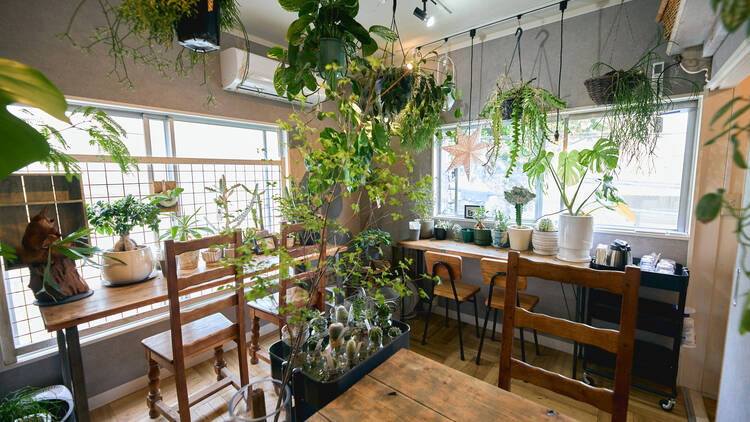 入山十百花店