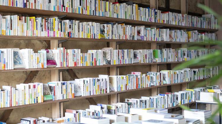 鴨葱書店