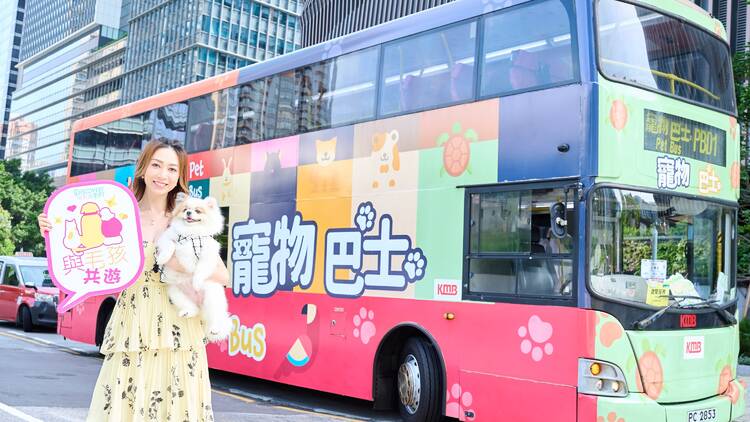 Discovery Bay pet bus