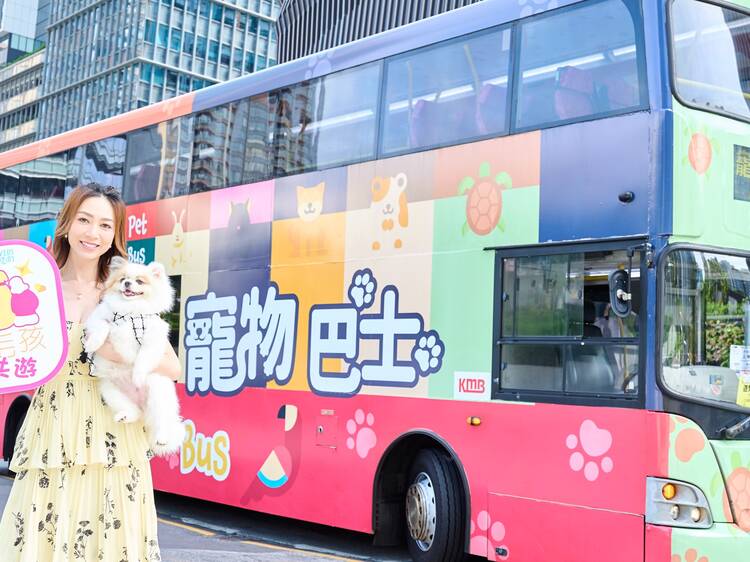 Discovery Bay’s pet-friendly bus launches more stops and related promotions