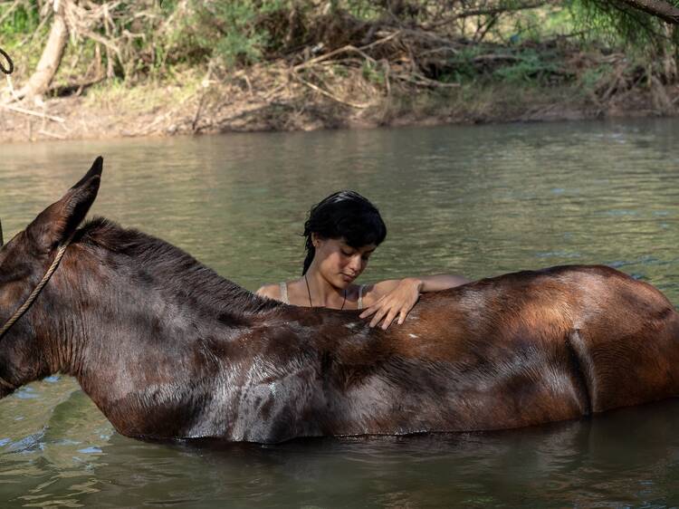 La Arriera