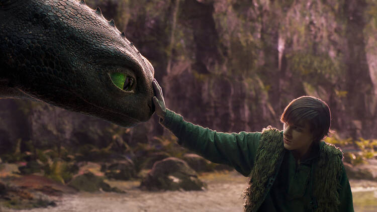 How to Train Your Dragon