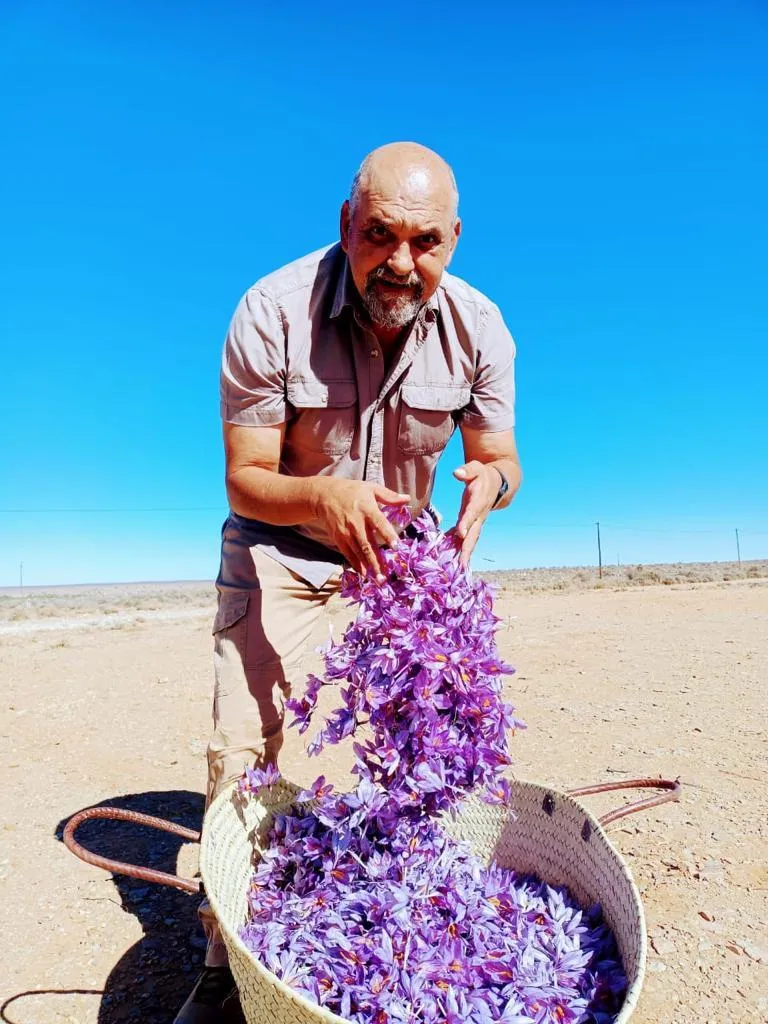 Saffron farming in Piketberg.