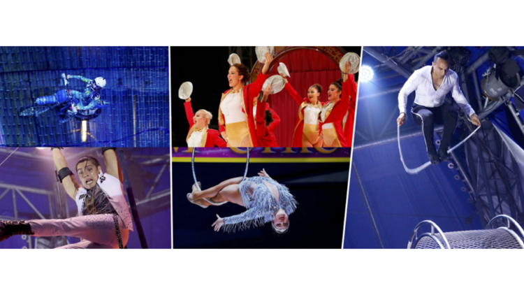 Happy Dream Circus