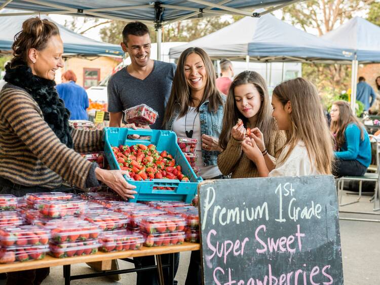 Explore the Barossa Farmers Market