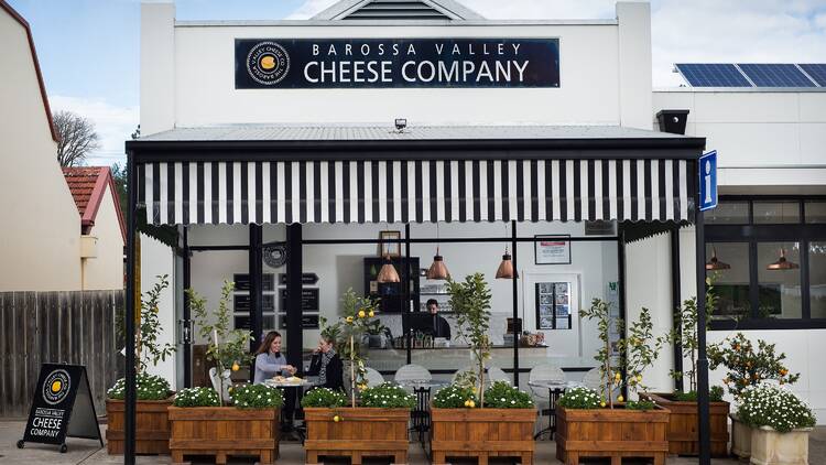 Sample artisan cheese at The Barossa Valley Cheese Company