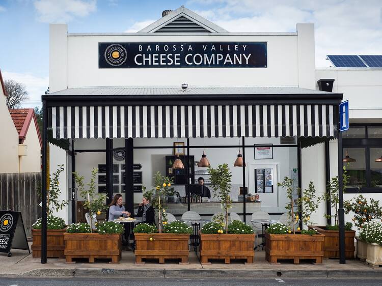 Sample artisan cheese at The Barossa Valley Cheese Company