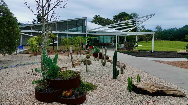 Get back to nature in the North Coast Regional Botanic Garden