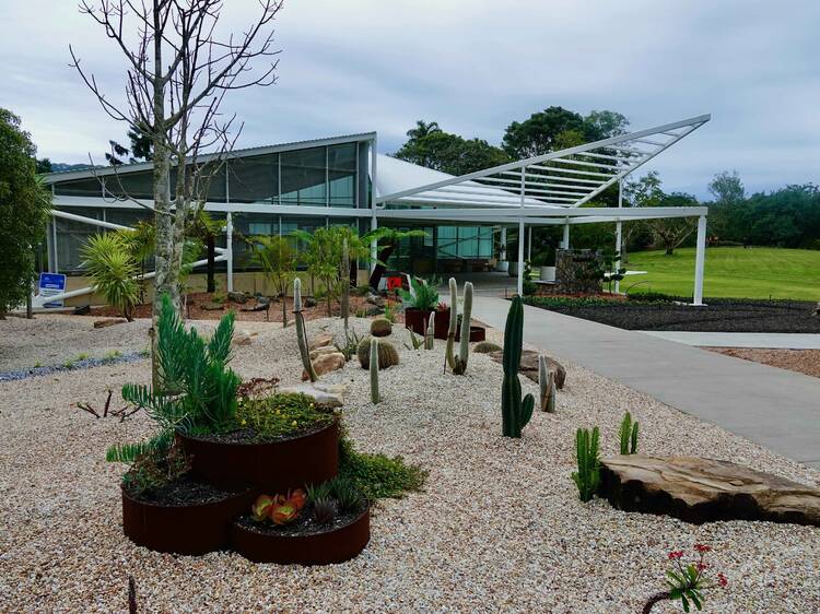 Get back to nature in the North Coast Regional Botanic Garden