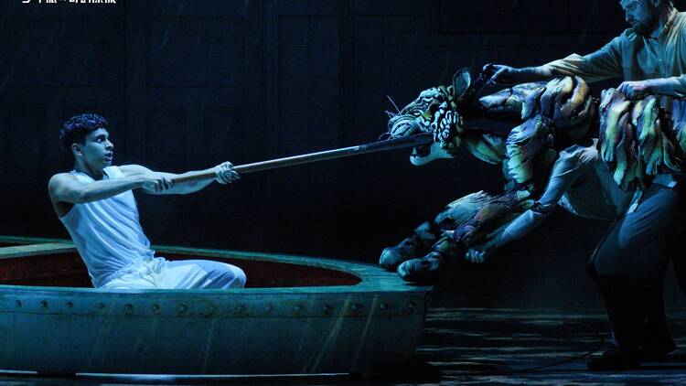 Life of Pi