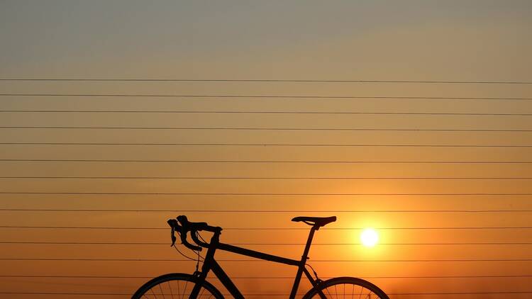 A bicycle in the sunset on Malonjeni Game Farm. 