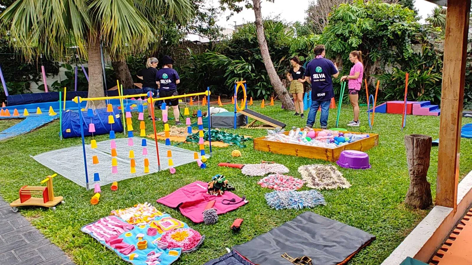 escuela-canina-selva
