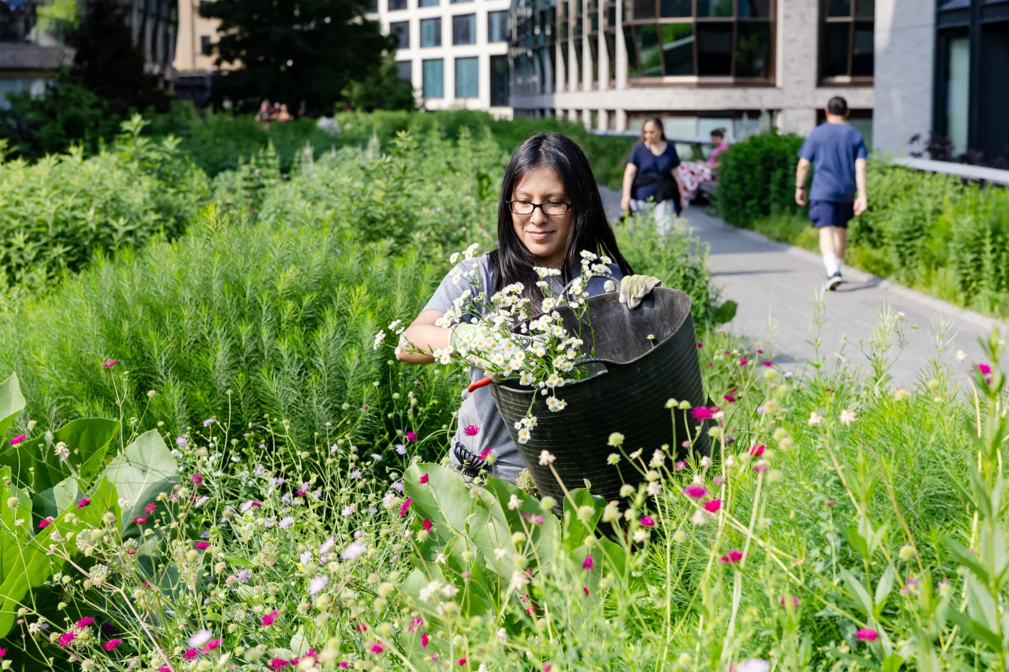 high line in summer